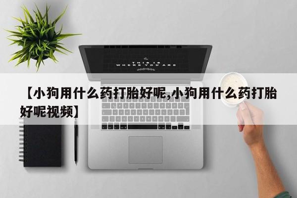 买打胎药的联系方式微信【小狗用什么药打胎好呢,小狗用什么药打胎好呢视频】