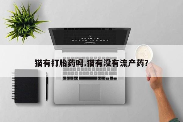 买打胎药的联系方式微信猫有打胎药吗.猫有没有流产药？