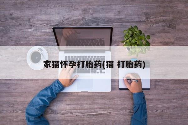 买打胎药的联系方式微信家猫怀孕打胎药(猫 打胎药)